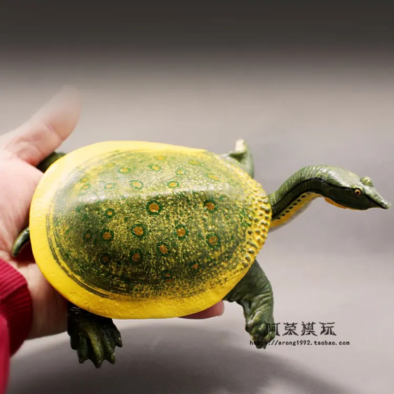 Kura-kura Telinga Merah Kulit  - Aquarium Decor ulasan dan harga