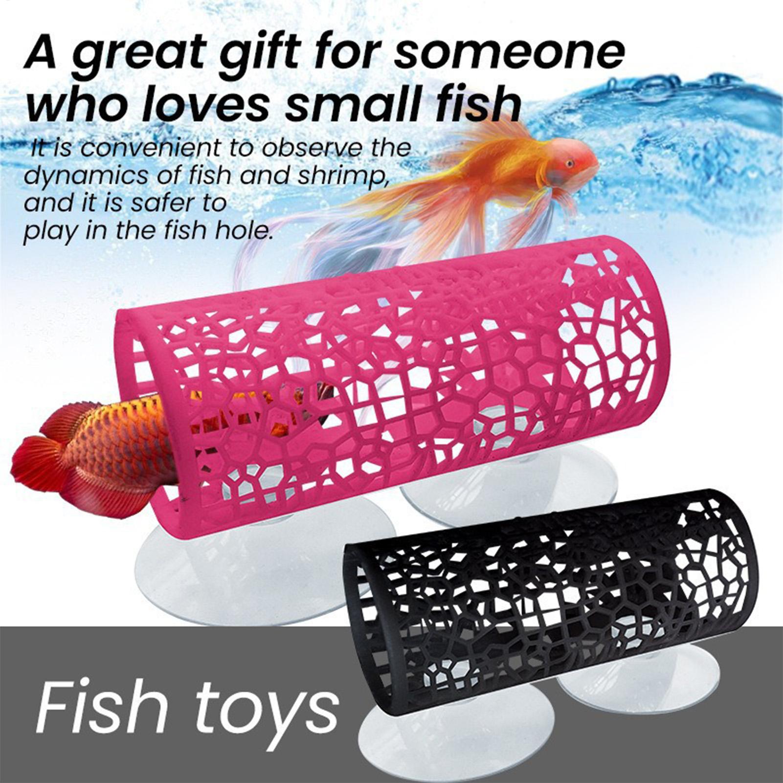 Tempat Persembunyian Ikan Bett - Betta Fish Tank ulasan dan harga
