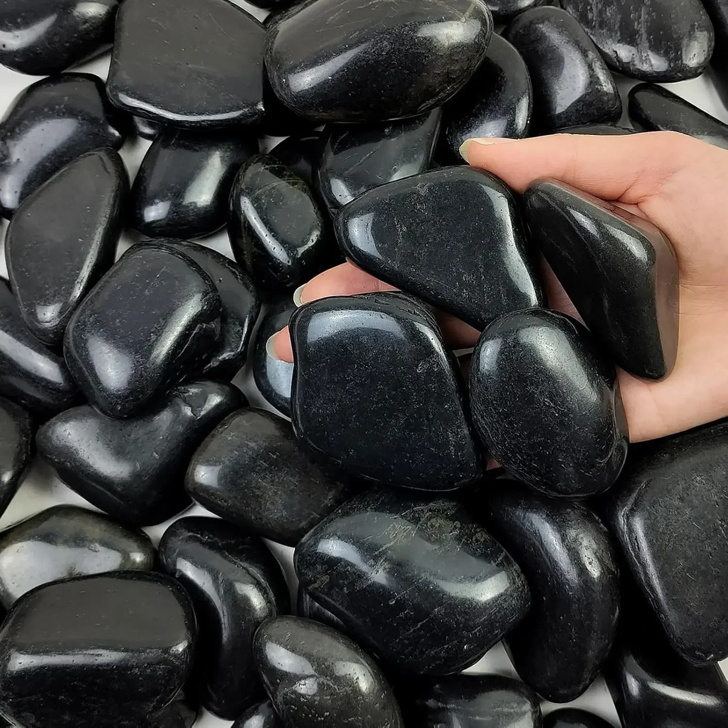 40 lbs Batu Sungai Hitam untuk - Aquarium Plants ulasan dan harga
