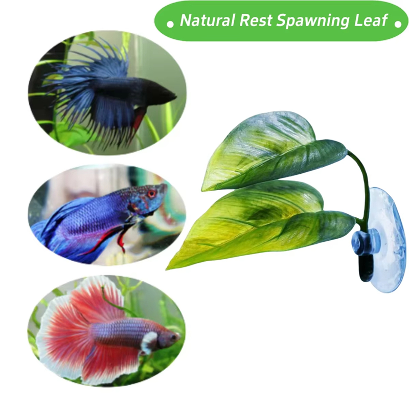 Perlengkapan Hiasan Akuarium,  - Betta Fish Tank ulasan dan harga
