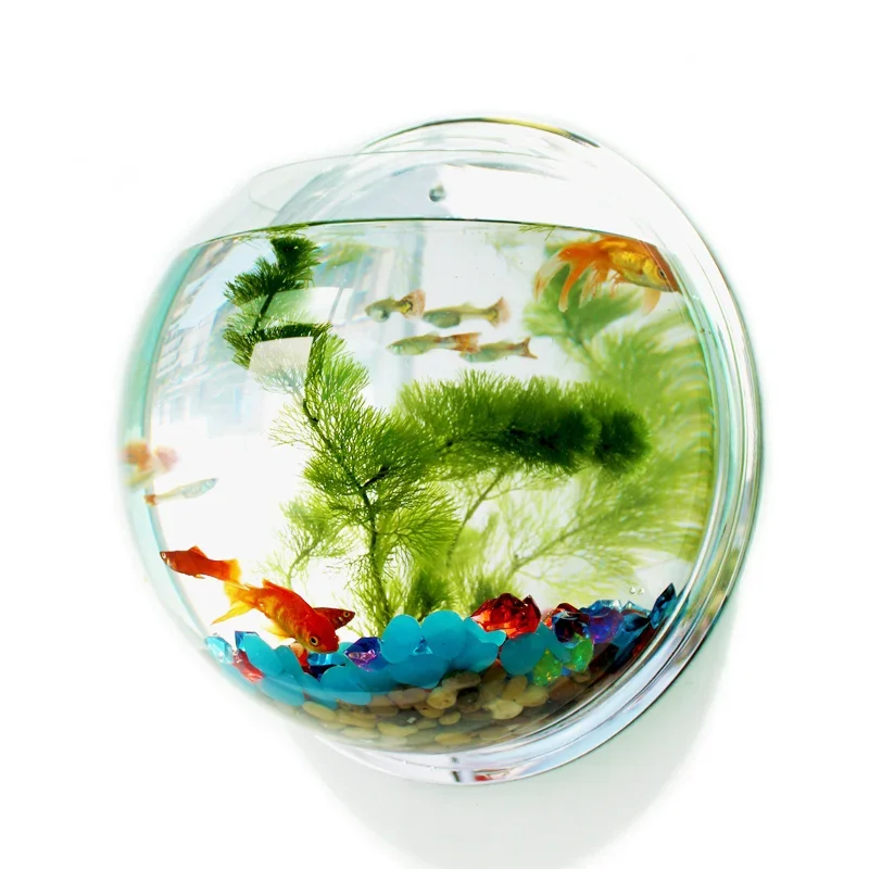 Pinsjar Akrilik Mangkuk Ikan H - Betta Fish Tank ulasan dan harga