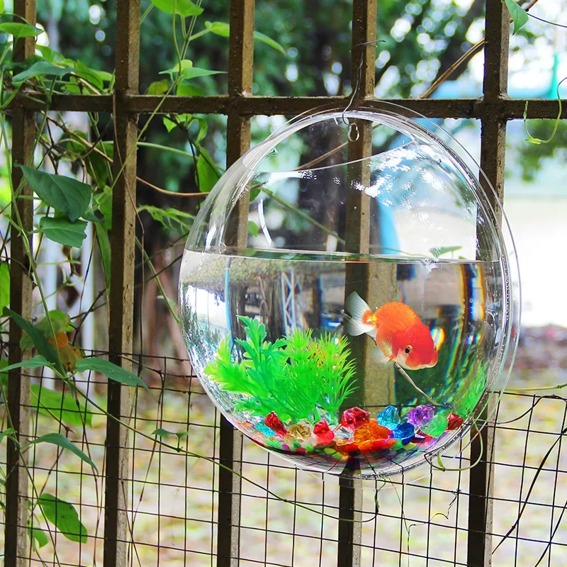Pinsjar Akrilik Mangkuk Ikan H - Betta Fish Tank ulasan dan harga