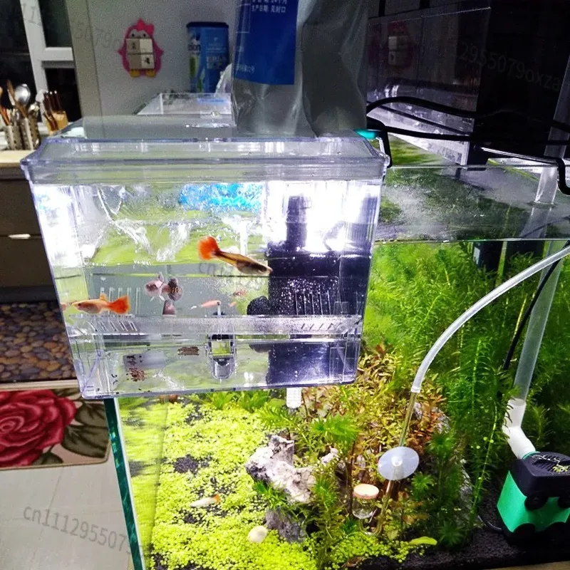 Kotak Pemisah untuk Pembiakan  - Aquarium Pump ulasan dan harga