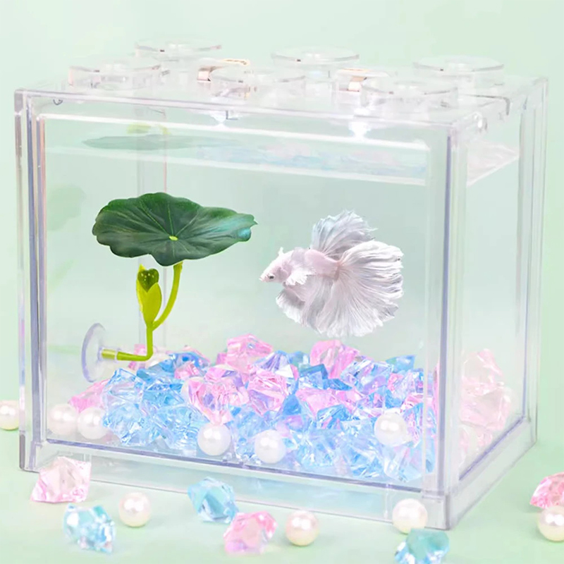 (Ce14)1/5PC Akuarium Daun Hija - Betta Fish Tank ulasan dan harga