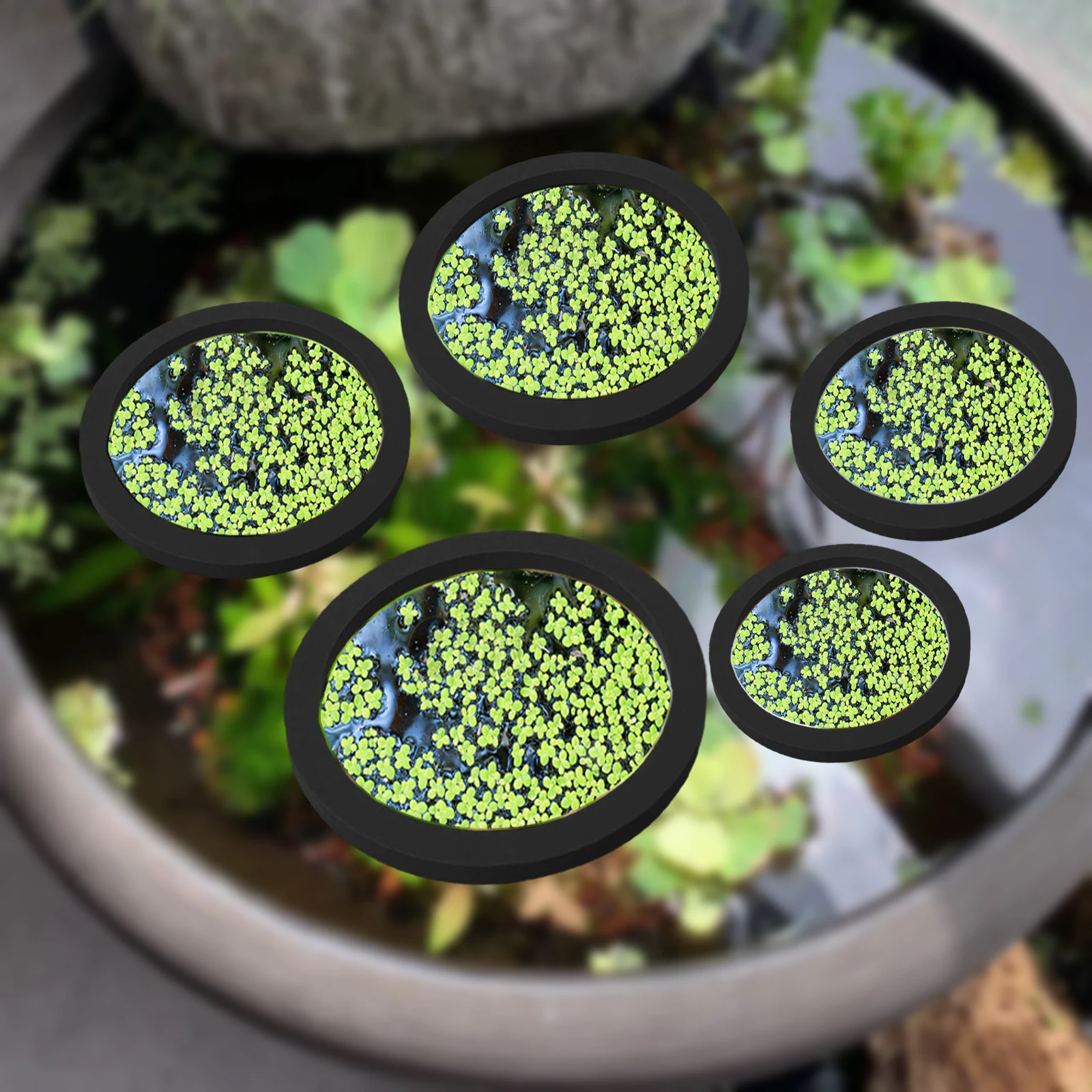5 buah EVA cincin pemberi maka - Aquarium Plants ulasan dan harga