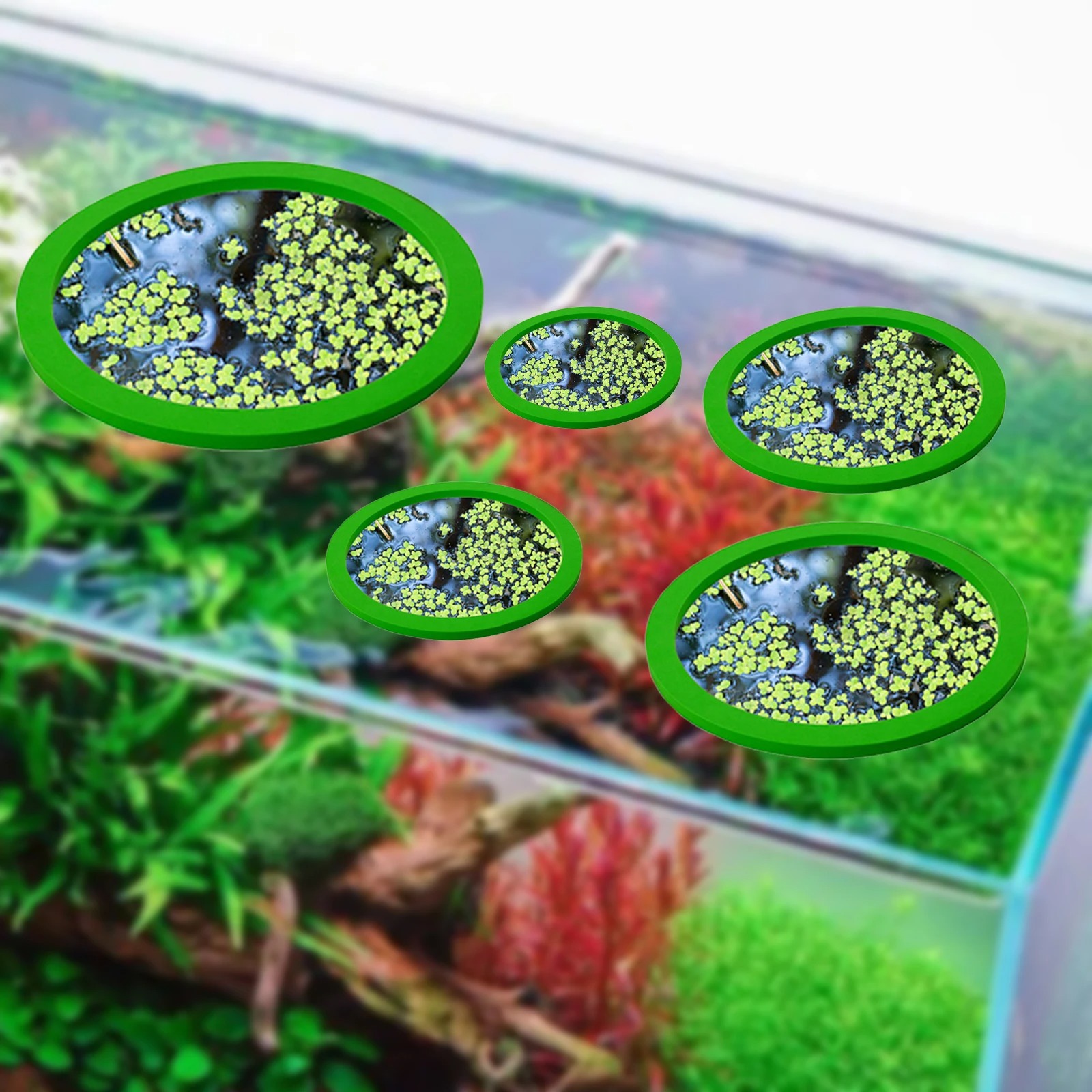 5 buah EVA cincin pemberi maka - Aquarium Plants ulasan dan harga