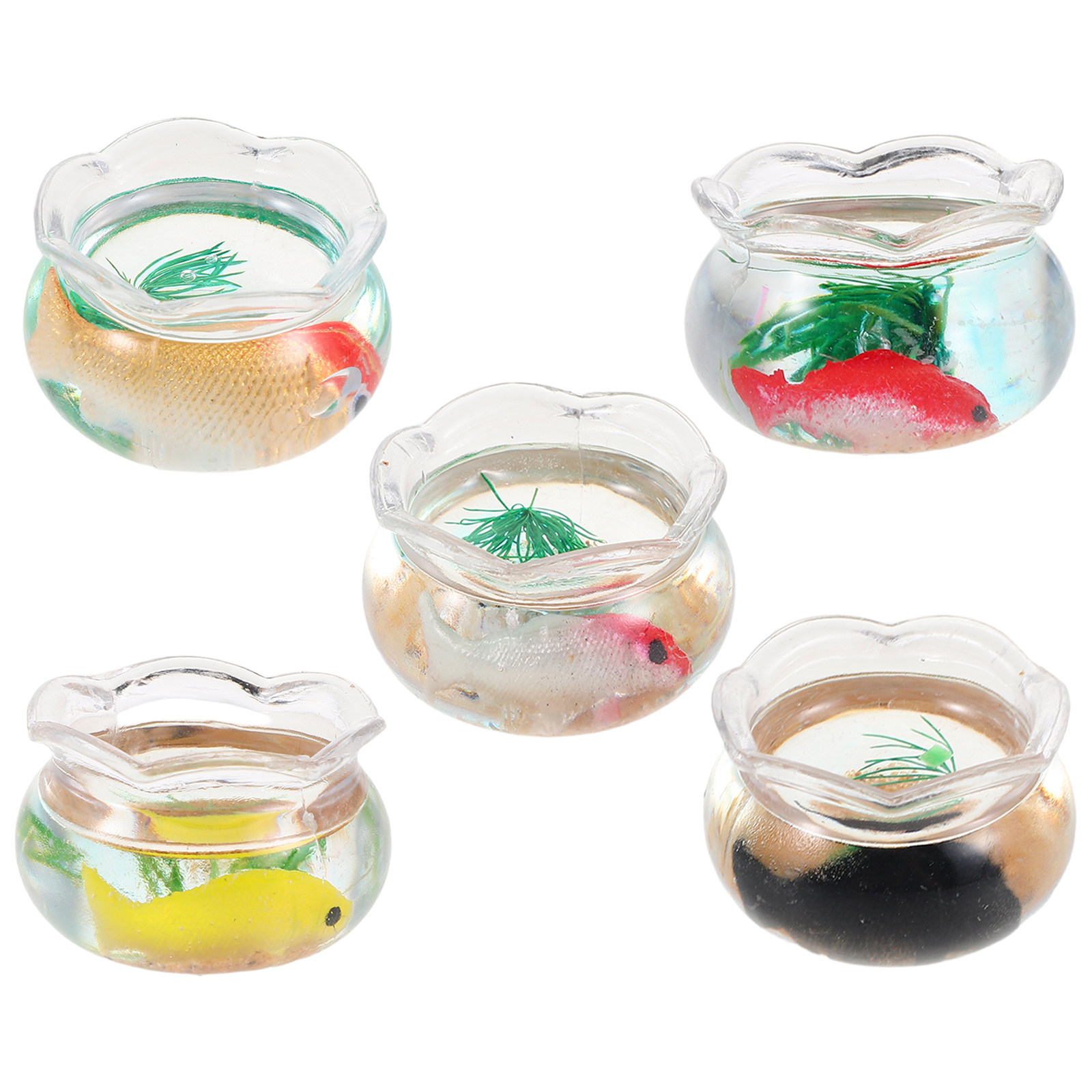 5 Buah Akuarium Ikan Mini, Tam - Aquarium Plants ulasan dan harga