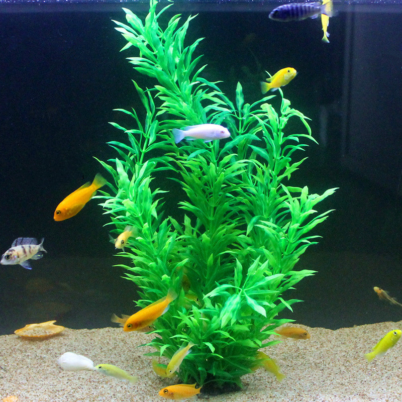 50CM Kolam Ikan Buatan Tanaman - Fish Aquarium Home ulasan dan harga