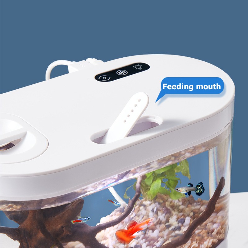 Akuarium Mini Desktop Kreatif  - Betta Fish Tank ulasan dan harga